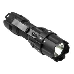 Pro Series Led Flshlight/250 Lumens/Cmpct
