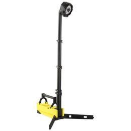Portable Scene Light w/120V AC/12V DC-Yel